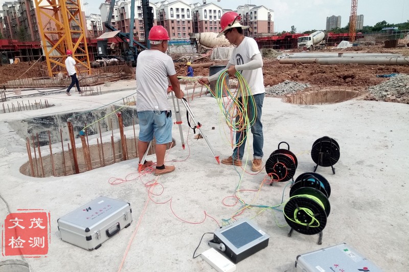 1500601629120441.jpg 超声波图片2.jpg